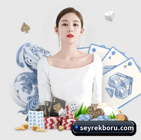 国际化进程 - 注册用户突破千万级,业务版图扩展至全球多个华人聚集地区。