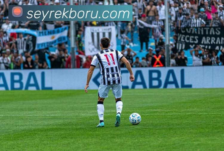 环球体育直播平台生态图